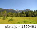 穂高連峰を望む
