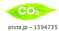 葉と白抜き文字（CO2）