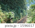 1596017