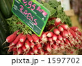 ラディッシュ、はつかだいこん