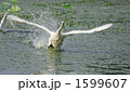 1599607