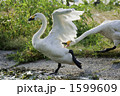 1599609