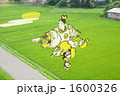 田んぼアート