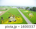 田んぼアート