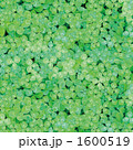 1600519