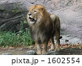 百獣の王