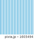 1603494