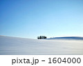1604000