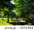散歩道