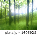 1606928