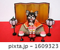 ひな祭り