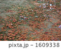 1609338