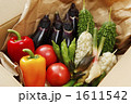 夏野菜便
