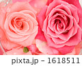 1618511