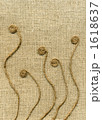 1618637