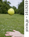 1619289