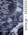 1620203
