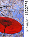 桜と野点