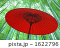 竹林と野点