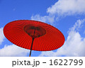 青空と野点