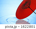 水面と野点