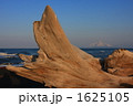 流木と利尻富士