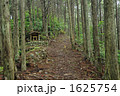 熊野古道　赤木越