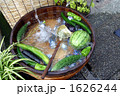 野菜の行水