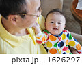 孫