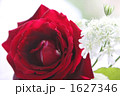 薔薇のアレンジメント