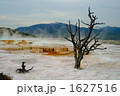 世界遺産　イエローストーン