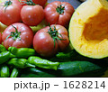 とれたて夏野菜