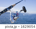 リールとロッド