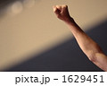 グー