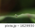 しずく