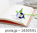 読書　（横）