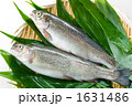 ニジマス