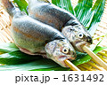 ニジマスの串刺し
