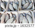 宗八カレイ