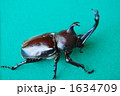 1634709