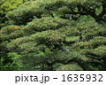 1635932