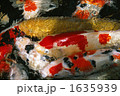 1635939