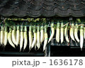 大根を干す農家