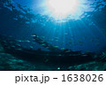 沈船