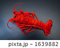 伊勢海老