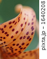 1640208