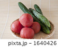 取れたて自家製野菜