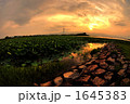 1645383