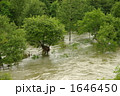 河川の増水