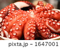 ゆでだこ